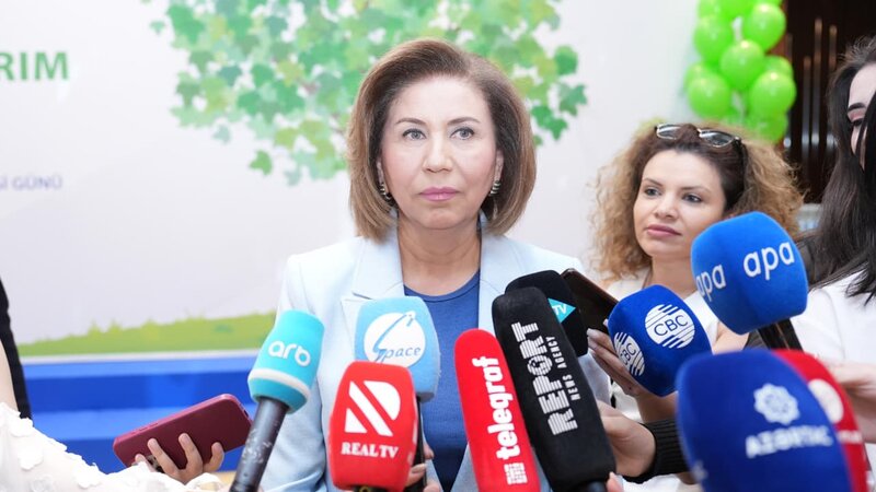 Bahar Muradova: “Roblox”un fəaliyyətini məhdudlaşdırmaq niyyətimiz yoxdur
