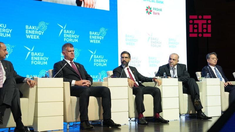 Rövşən Nəcəf: Enerji tələbatının artımı 2%-i də keçə bilər