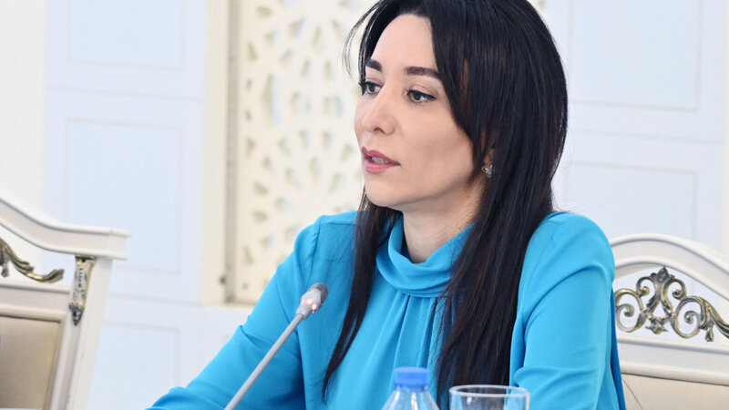 Ombudsman: Uşaqlar arasında geniş yayılan interaktiv platformalar və onlayn oyunlar ciddi risklər yaradır