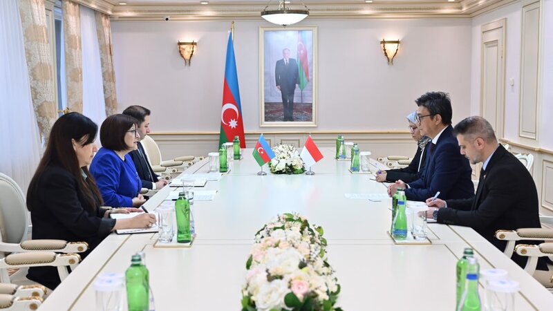 Milli Məclisin sədri İndoneziyanın ölkəmizdəki səfirini qəbul edib