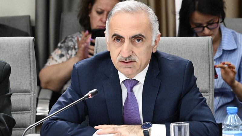 PA-nın sektor müdiri: Uşaqları qorumaq məqsədilə qanunvericiliyə dəyişikliklər 40-dan çox ölkədə müzakirə olunur