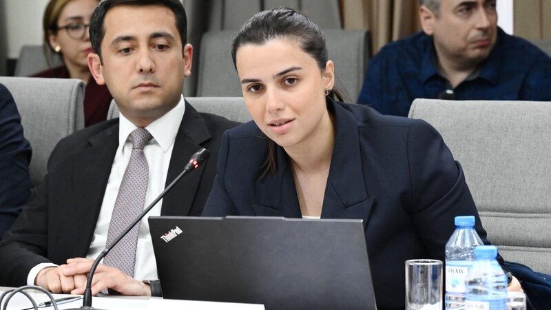 Həvva Hüseynli: Qanun layihəsi bütün sosial şəbəkələri əhatə etmir