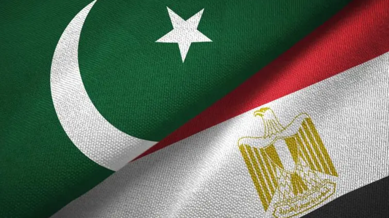 Pakistan və Misir XİN başçıları arasında telefon danışığı oldu