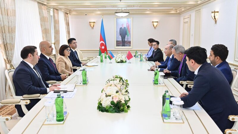 Sahibə Qafarova Yəmən Respublikası Nümayəndələr Palatasının sədri ilə görüşüb