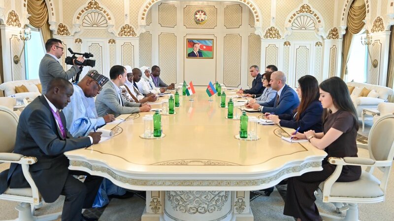 Milli Məclisin sədri Niger Respublikası Məsləhət Şurasının sədri ilə görüşüb