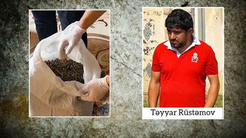 Ağcabədidə çətənə kolları və 7 kiloqramdan artıq marixuana aşkarlandı