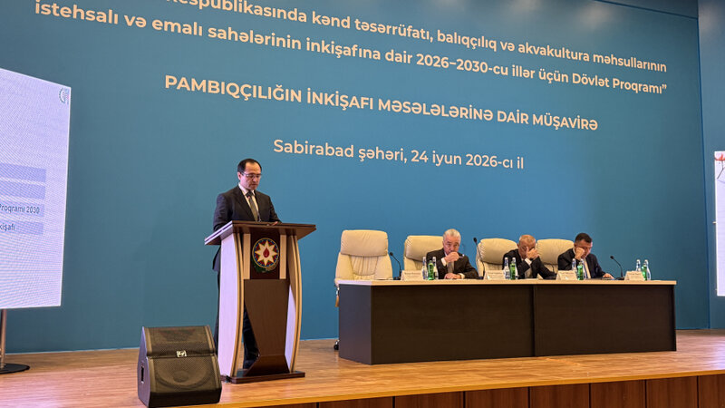 Nazir: Sortun düzgün seçilməməsi səbəbindən yığım gecikib