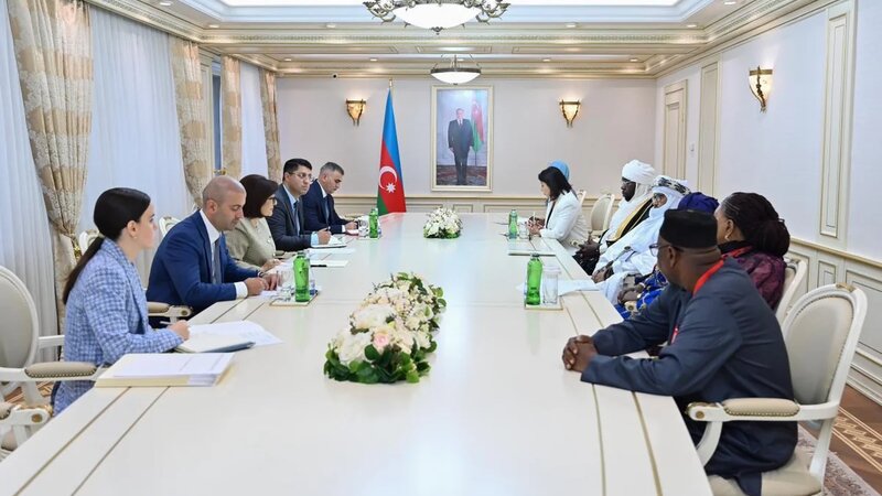 Sahibə Qafarova Afrika Qrupu parlament sədrlərinin müavinləri ilə görüşüb