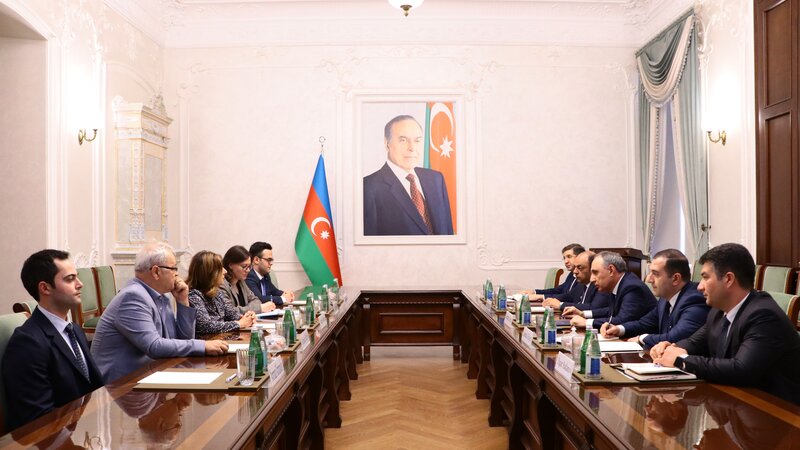 Kamran Əliyev İtkin düşmüş şəxslər üzrə Beynəlxalq Komissiyanın baş direktoru ilə görüşüb