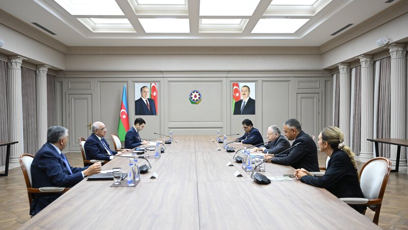 Əli Əsədov BMT Baş katibinin Yol Təhlükəsizliyi üzrə xüsusi elçisi ilə görüşdü