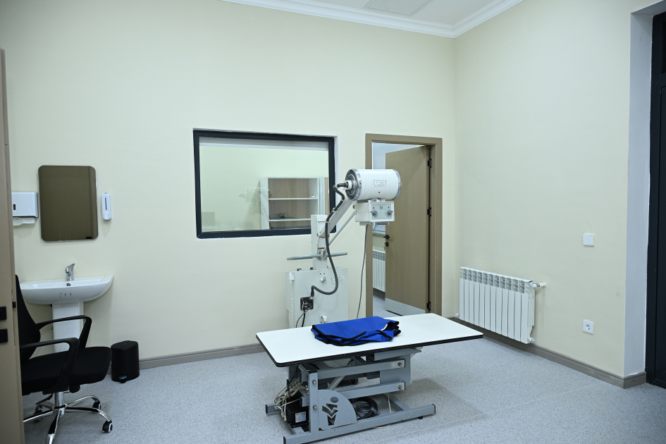 Medial