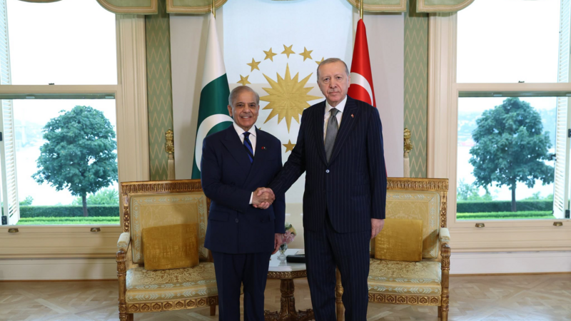 Ərdoğan Şahbaz Şəriflə görüşüb