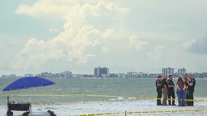 İldırım Florida çimərliyində bir nəfərin həyatına son qoyub -