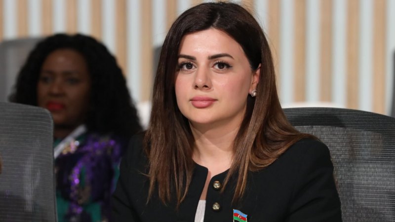 Pərvanə Vəliyeva: Vaşinqton Sülh Sammiti Azərbaycan diplomatiyasının ən böyük uğurlarındandır