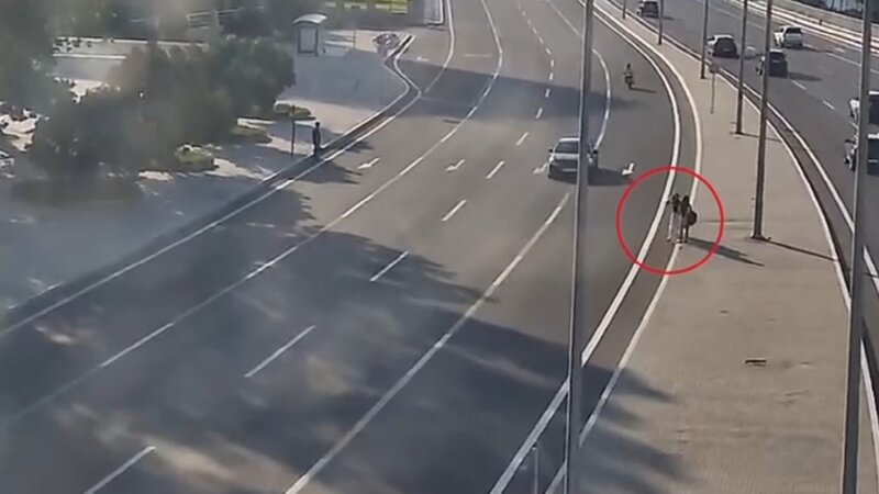 Yeraltı keçiddən istifadə etməyən piyadalar qəzaya səbəb oldu -