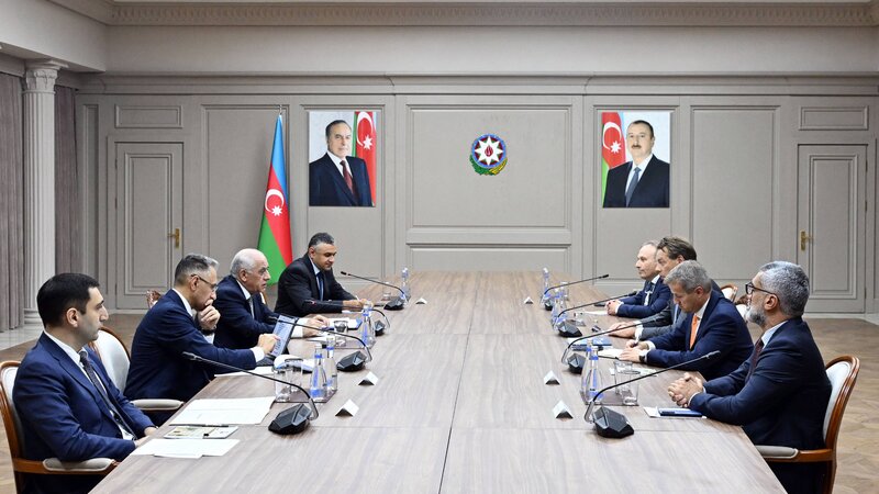 Baş nazir “Damen Shipyards Group” şirkətinin baş icraçı direktoru ilə görüşüb