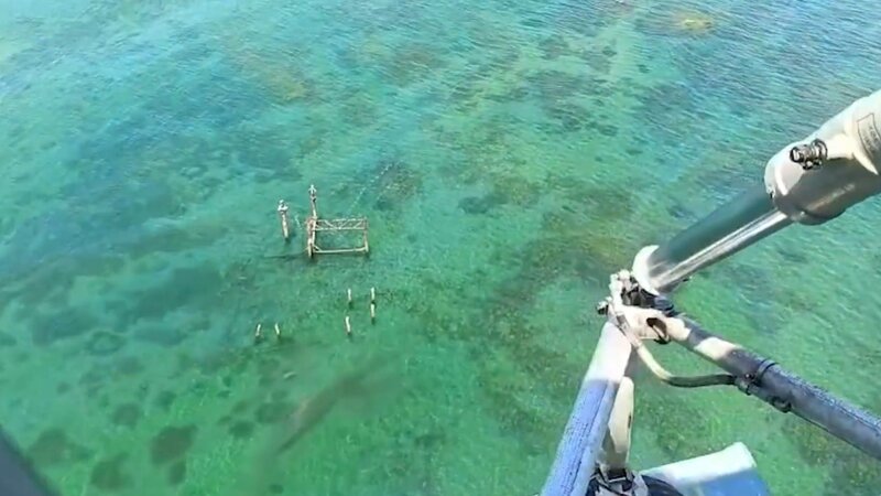 Şüvəlanda dənizdə batan 19 yaşlı qızın axtarışlarına helikopter cəlb olundu -