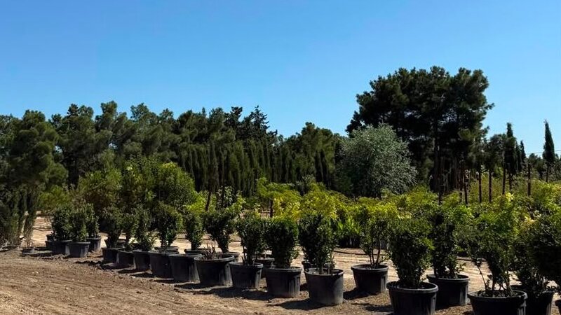 Paytaxtın təsərrüfat xidmətləri rəhbərlərinin iştirakı ilə müşavirə keçirilib