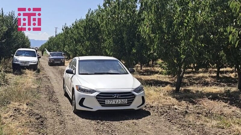 Cəlilabadda 21 yaşlı gənc suvarma hovuzunda boğulub