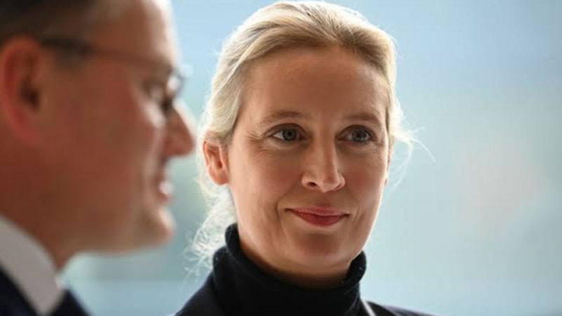 AfD lideri Almaniyada erkən seçkilərə çağırdı