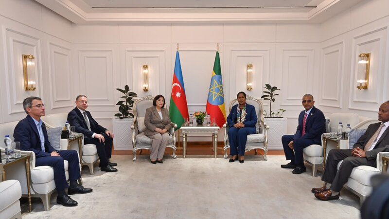Milli Məclisin sədri Efiopiyaya rəsmi səfərə gedib