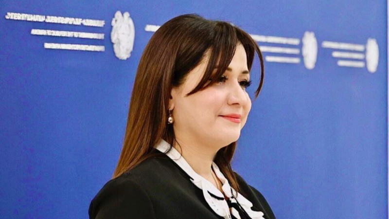Nikol Paşinyanın mətbuat katibi istefa verdi