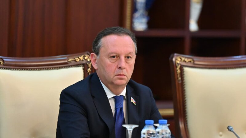 Deputat: İlham Əliyev doğma dilimizə böyük həssaslıqla yanaşır