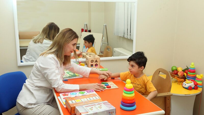 Məişət zorakılığından zərər çəkmiş 41 nəfərə sosial reabilitasiya xidmətləri göstərilib