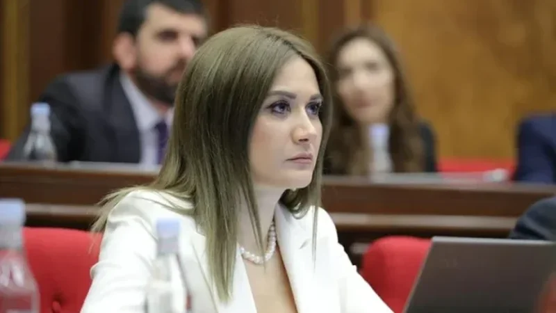 Ermənistanın yeni Konstitusiyasında Bakının çıxarılmasını istədiyi istinad olmayacaq - Culhakyan