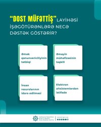 “DOST Müfəttiş” layihəsi işəgötürənlərə necə dəstək göstərir?