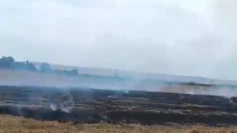 Bölgələrdə yanğına səbəb olan 3 nəfər məsuliyyətə cəlb olundu