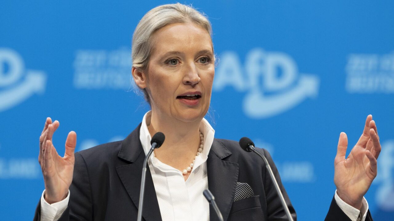 AfD lideri: Hakimiyyətə gəlsək, Almaniyanı Avrozona və Şengen zonasından çıxaracağıq