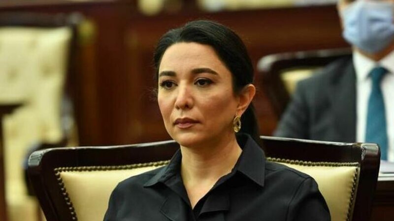 Ermənistanlı hüquq müdafiəçisinin səsləndirdiyi əsassız iddialara Ombudsman münasibət bildirdi