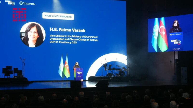 COP31-in icraçı direktoru: Bu kəsiri dövlət büdcələri ilə bağlamaq mümkün deyil
