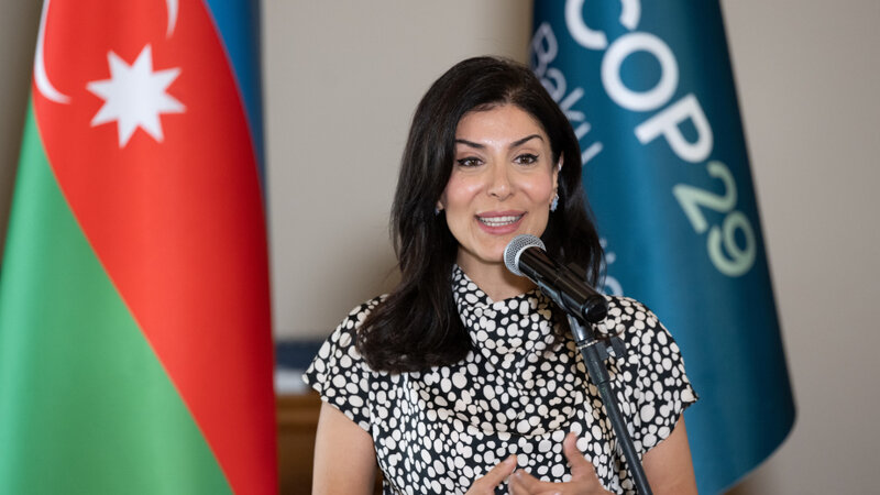 Nigar Arpadarai: Ölkələr öz problemlərini region daxilində həll etməlidirlər