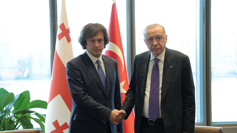 Gürcüstan və Türkiyə liderləri Bakı-Tbilisi-Qars dəmir yolunu müzakirə edib