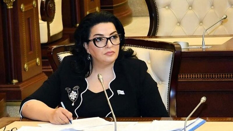 "Ölkəmizin enerji siyasəti yalnız ənənəvi enerji resurslarının hasilatı və ixracı ilə məhdudlaşmır"