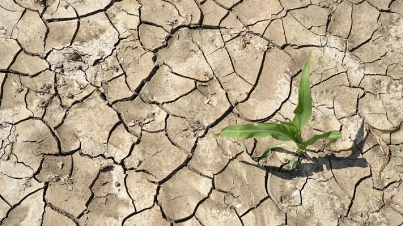2027-ci ilə qədər El-Nino təhlükəsi: Azərbaycanı nələr gözləyir?