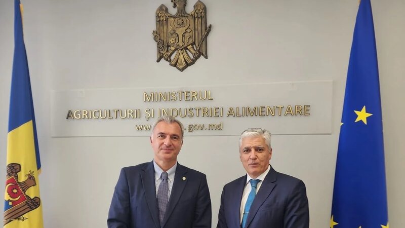 Azərbaycan ilə Moldova arasında əməkdaşlıq müzakirə edildi