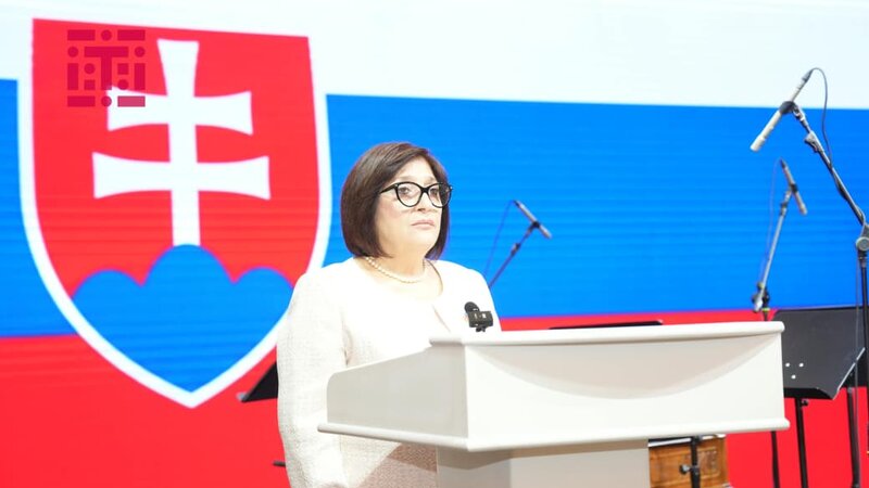 Sahibə Qafarova: Azərbaycan-Slovakiya əlaqələri yüksək səviyyədə inkişaf edir