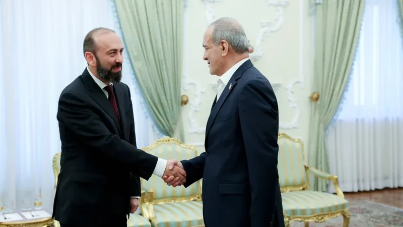 Mirzoyan Pezeşkiana TRIPP layihəsinin icra prosesini təqdim etdi