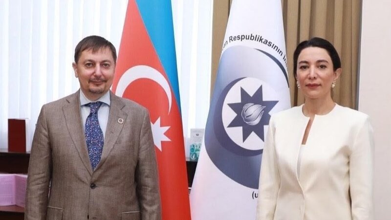Ombudsman BMT-nin ölkəmizdəki yeni rezident əlaqələndiricisini qəbul edib