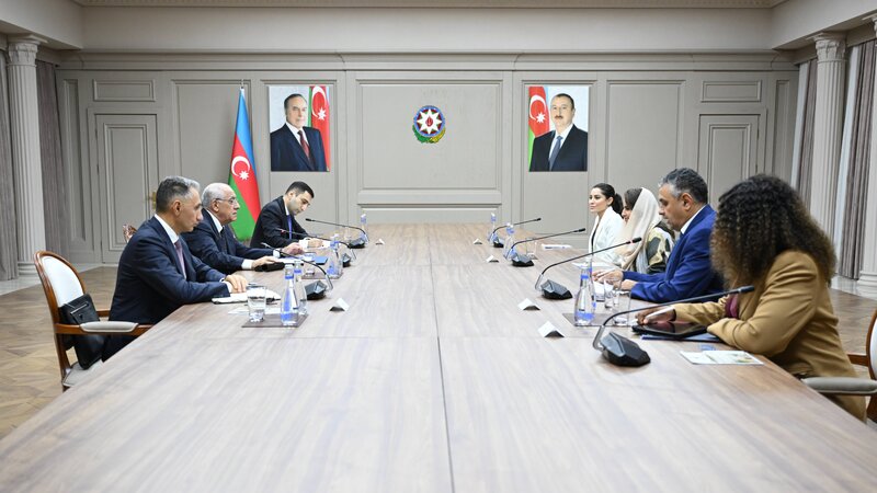 Baş nazir Rəqəmsal Əməkdaşlıq Təşkilatının Baş katibi ilə görüşüb