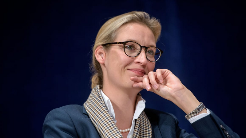 AfD lideri: Almaniya Rusiyanın hədəfinə çevrilir