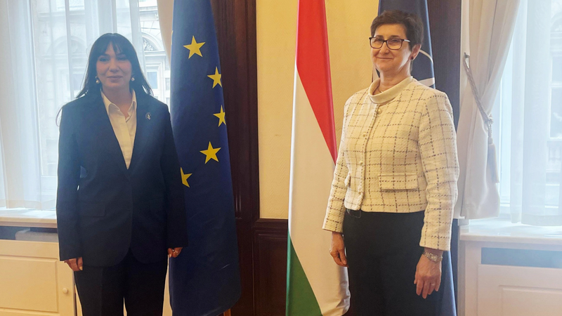 Esmira Cəfərova Macarıstan XİN-in dövlət katibi ilə ikitərəfli əlaqələri müzakirə etdi