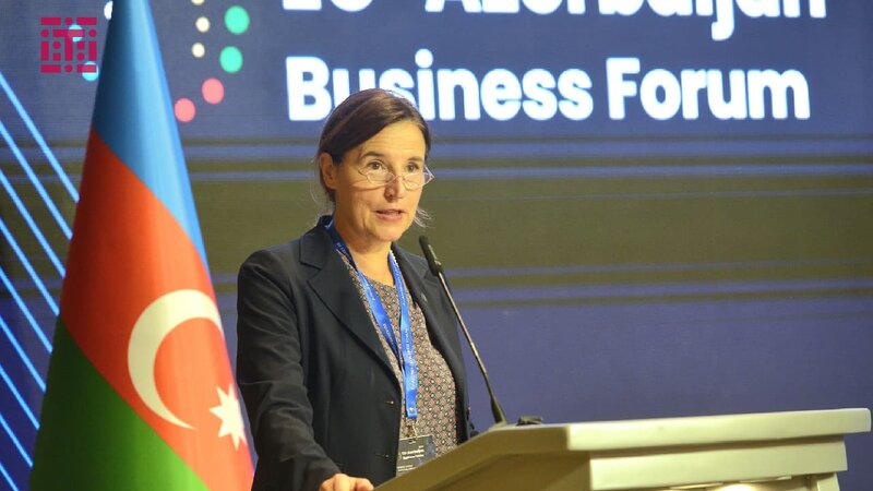 Aİ Cənubi Qafqazda infrastruktur layihələrinə 2 milyard avroyadək investisiya cəlb etməyi planlaşdırır