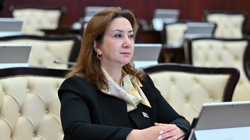 İƏT çərçivəsində əməkdaşlıq Azərbaycanın müsəlman dövlətləri ilə əlaqələri üçün mühüm platformadır -