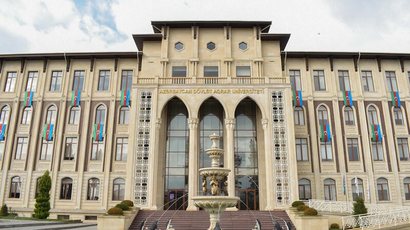 ADAU-da müəllimlərin kütləvi ixtisarı aparılıb