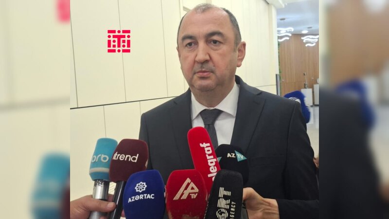 Nazir müavini: Yol kənarlarında və turizm ərazilərində tullantı problemi davam edir