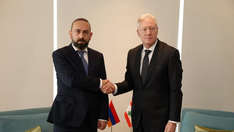 Ararat Mirzoyan Manamada Livan xarici işlər naziri ilə Cənubi Qafqazı müzakirə edib